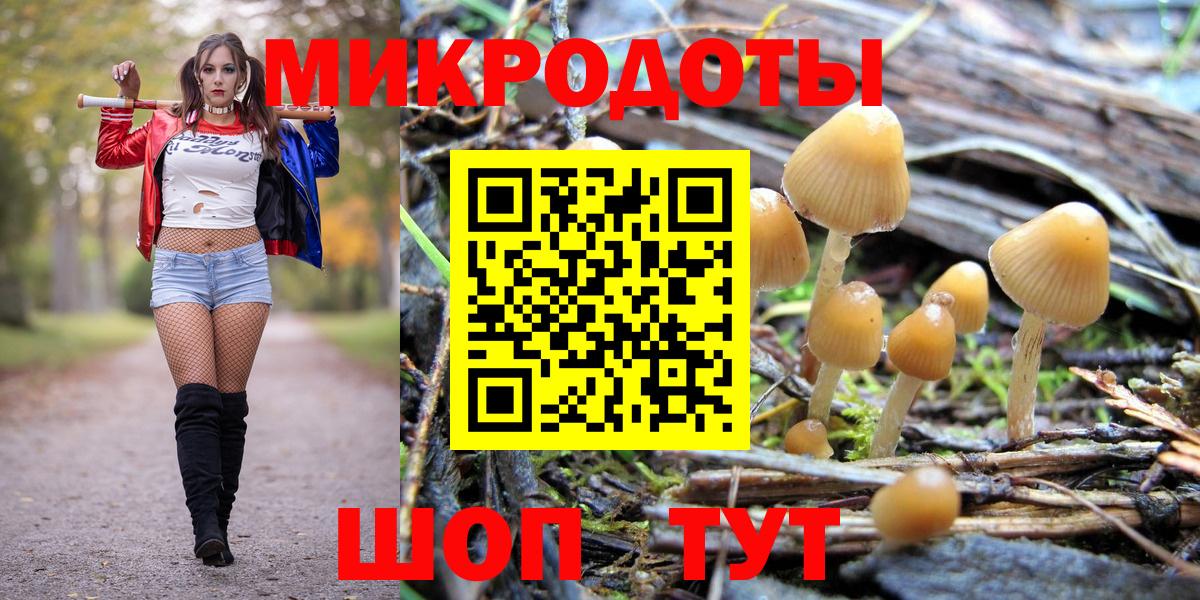 Сланцы  Псилоцибиновые грибы GOLDEN TEACHER  Вход с VPN 